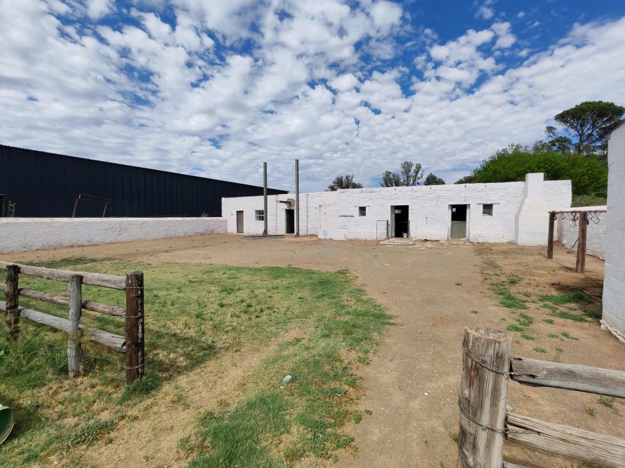 4 Bedroom Property for Sale in Steynsburg Eastern Cape